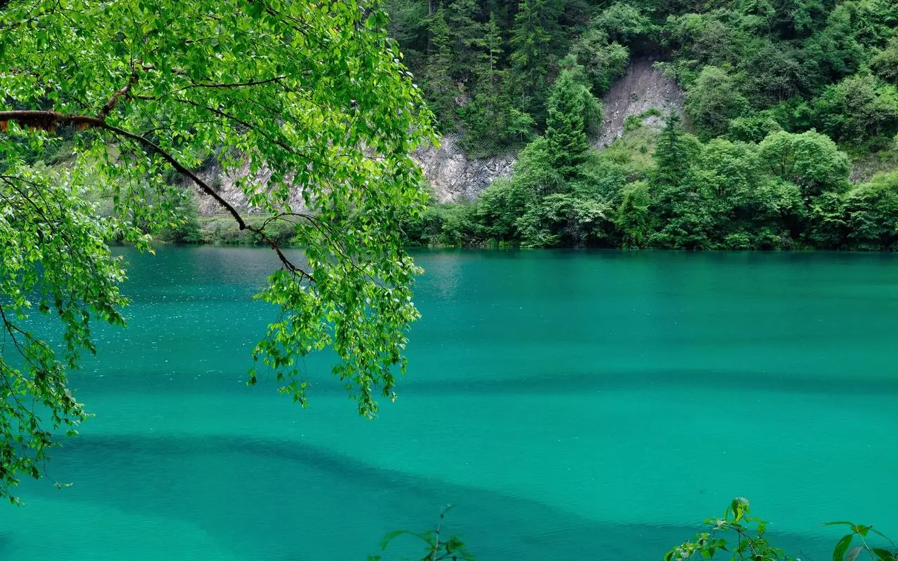 环保高标准绿色